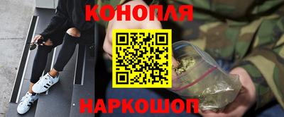 сатива Обь