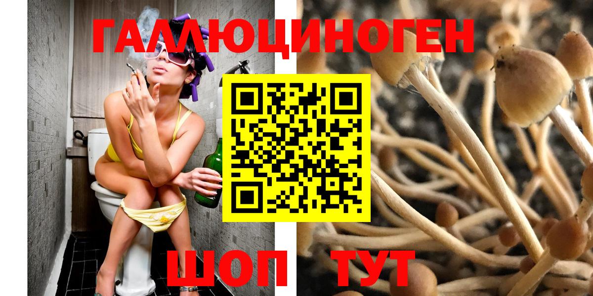 Реутов  Галлюциногенные грибы GOLDEN TEACHER  даркнет сайт  Вход с VPN 